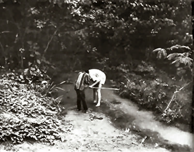 E. Roloff collecting Callopanchax monroviae